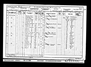 1901 William V Brooks - Census 